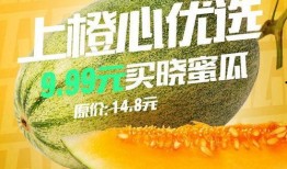 娱乐吃瓜大作战,揭秘娱乐圈幕后风云