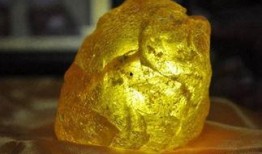 琥珀原料爆料视频,探寻古生物化石的神秘面纱