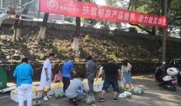 娱乐吃瓜酱贫困户,揭秘贫困户背后的真实故事