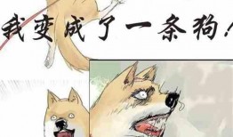 吃瓜下棋小说全文阅读免费,棋局风云，瓜田笑谈