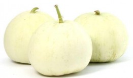 吃香瓜最新事件爆料,最新爆料揭示惊人内幕