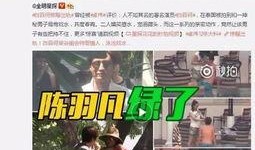 何珊珊被爆料视频是真的吗,何珊珊被爆料视频真实性揭秘
