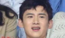 娱乐吃瓜酱神仙,揭秘神仙明星背后的故事