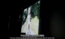 免费变态视频在线观看,揭秘网络暗流涌动的秘密世界