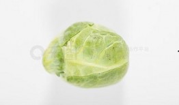 吃瓜娱乐图片下载大全,一网打尽精彩瞬间