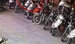 最新爆料摩托车视频,速度与激情的极致演绎