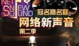 新声音在线观看,开启音乐盛宴的视听之旅