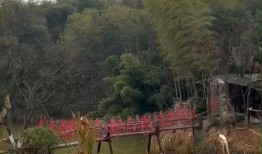 花溪新闻爆料最新视频网