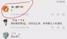 卓伟预告爆料视频大全下载,揭秘娱乐圈幕后真相