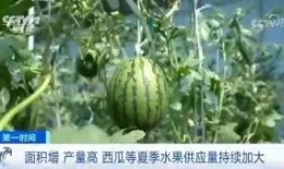 青岛吃瓜群众免费吃瓜微信区,青岛瓜友集结！免费吃瓜活动微信专区火热开启