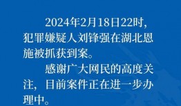重大刑案爆料流程视频,视频解析与关键步骤