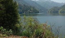 爆料罗村水库最新消息视频,揭秘视频曝光惊人真相