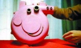 野猪佩奇爆料视频大全