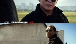 电影硬汉3在线观看,巅峰对决——巅峰对决，硬汉归来！