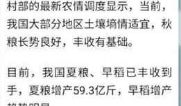 新闻爆料语音怎么设置