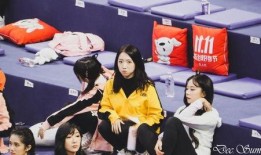 孙怡综艺爆料视频,揭秘娱乐圈幕后故事