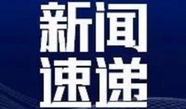央视网新闻爆料,重大新闻事件引发社会关注