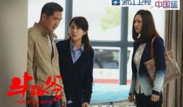 半路父子电视剧在线观看,跨越血缘的亲情之旅