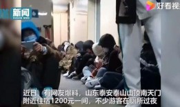 泰山酒店爆料事件视频大全,揭露酒店内幕真相大揭秘