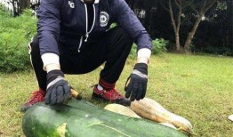 新乡大瓜爆料视频