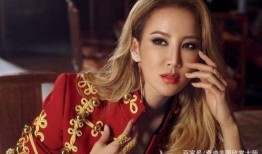 李玟最新消息爆料,揭秘天后背后的故事与挑战