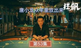 狂飙小龙爆料视频大全集,揭秘视频大全集背后的精彩瞬间