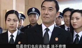 局长 在线观看,在线揭秘权力巅峰