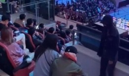 王思聪最新动态爆料,揭秘娱乐圈新动向与商业版图扩张