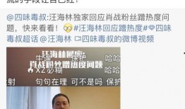 汪海林爆料视频大全,揭秘娱乐圈幕后真相