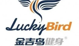 金吉鸟最新爆料图片高清,惊艳瞬间尽收眼底