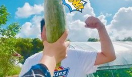 网红吃瓜群众心态,吃瓜群众心态下的娱乐圈风云