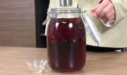 广州蛇头泡酒爆料视频,揭秘神秘民间风俗背后的真相