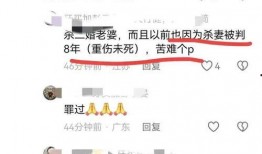 重大刑案爆料流程视频,视频解析与关键步骤