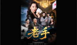 老手在线观看完整版,揭秘在线观看完整版背后的精彩故事