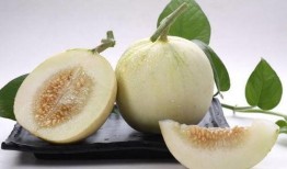 吃香瓜最新事件爆料,最新爆料揭示惊人内幕