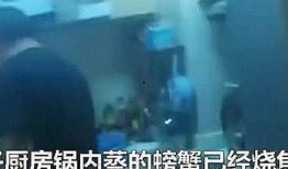 济南渣男爆料事件视频曝光,揭秘不雅行径引发社会关注