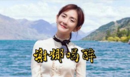 明星爆料何炅喝醉了吗视频,现场失控，网友热议