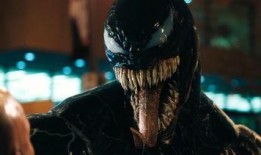 小毒液爆料回放视频下载,揭秘幕后真相