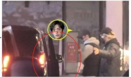 肖战杨紫圈内爆料,揭秘娱乐圈的甜蜜与争议