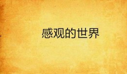 感观世界在线观看完整,一场视觉与听觉的盛宴之旅