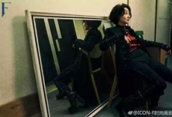 爆料某武打女星视频在线观看,在线观看引发热议