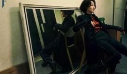 爆料某武打女星视频在线观看,在线观看引发热议