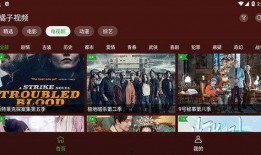 明星最新爆料素材下载,揭秘娱乐圈幕后真相