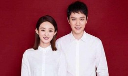 娱乐吃瓜明星离婚,当红明星离婚事件引发热议