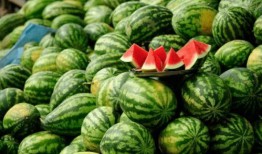 山东两位网红吃瓜是谁,揭秘两位网红的瓜界风云