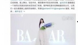 黑天鹅造型爆料视频