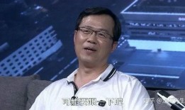 卓伟最新爆料大花歌手,揭秘大花歌手背后的惊人真相