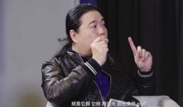 汪海林爆料视频大全,揭秘娱乐圈幕后真相