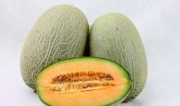 新疆网红吃瓜事件真相,真相与误解的交织