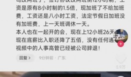美国高管爆料视频最新,最新视频揭秘企业内幕